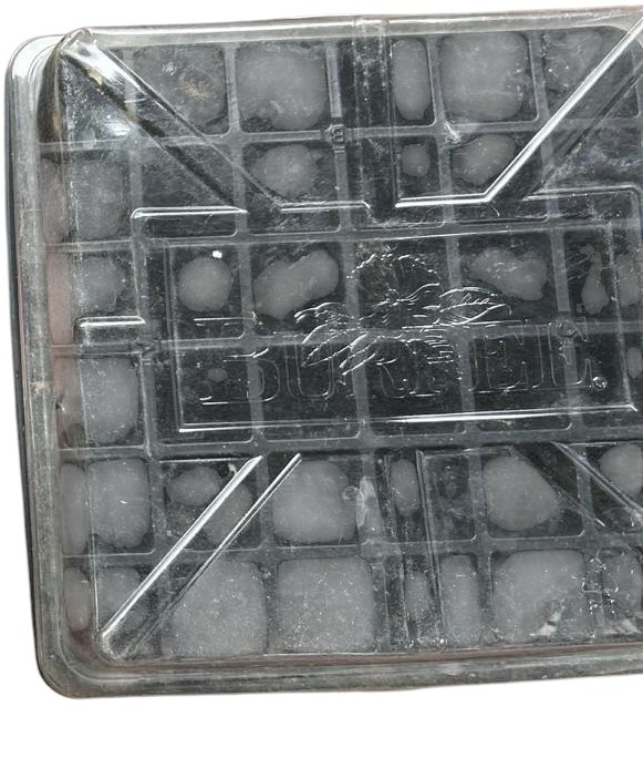 Plastic seedling tray with lid