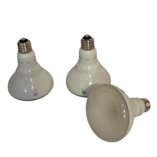 Grow light bulb