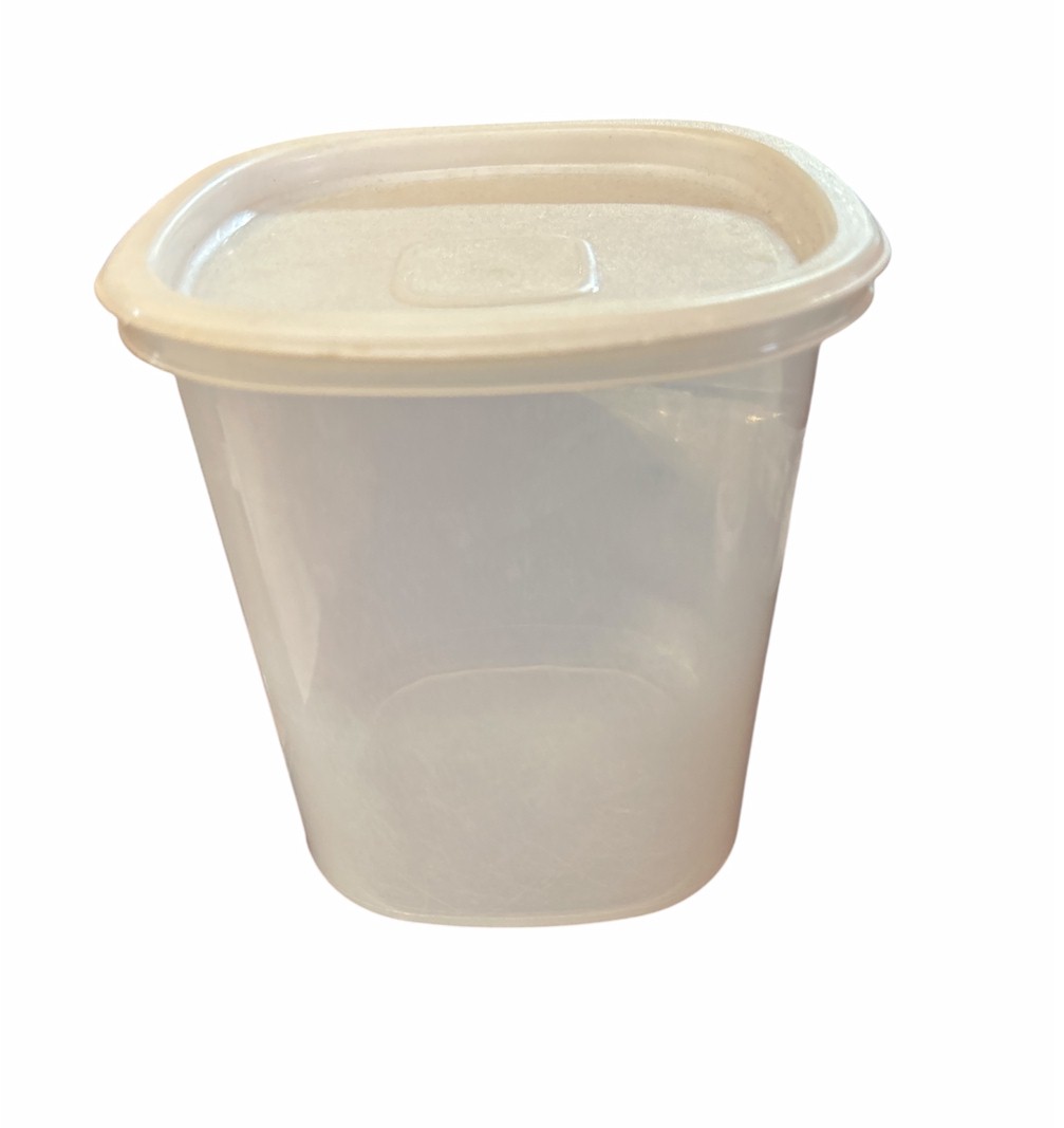 3 Qt Plastic Storage Container with Lid
