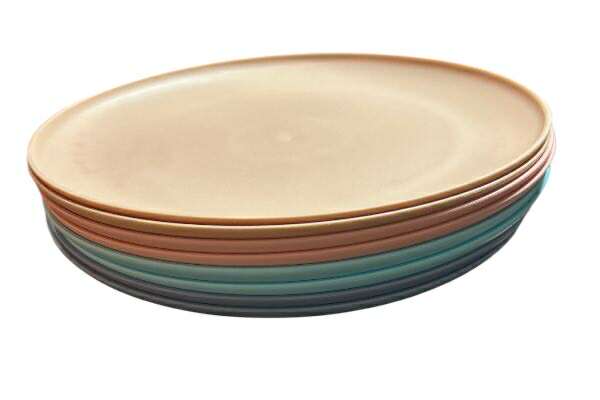 Plastic Dinner Plate