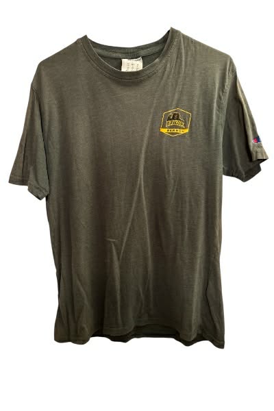 Men’s Baylor Bears Graphic T Shirt by Champion