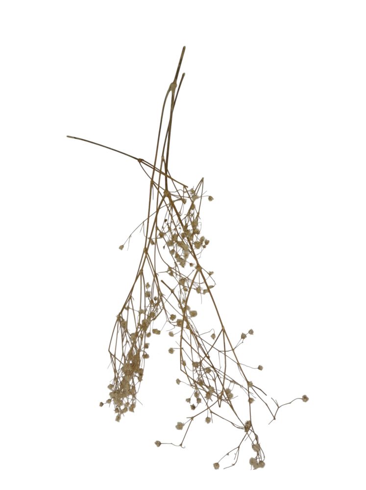 Artificial Baby's Breath Floral Decor