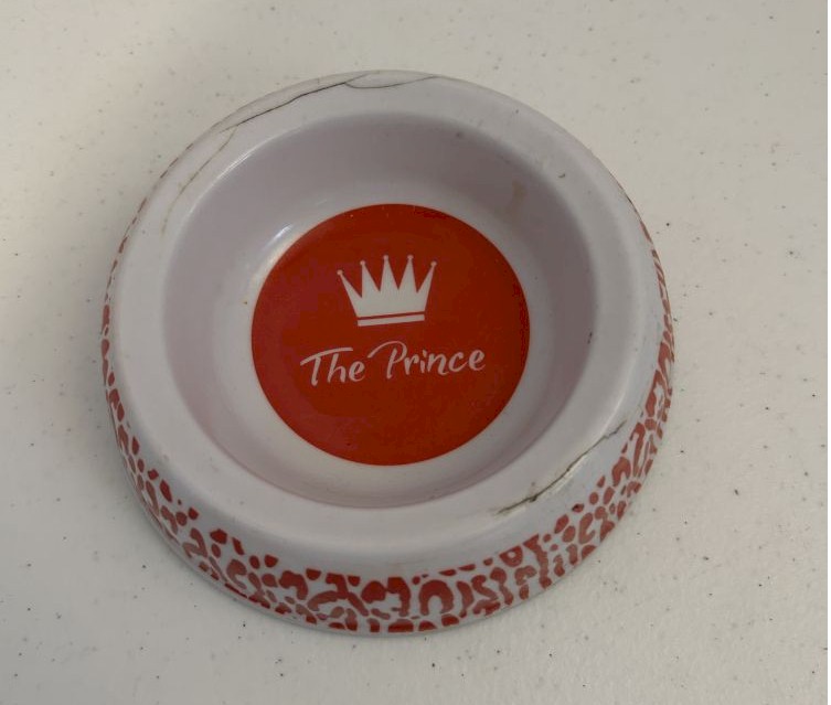 The Prince Ceramic Pet Bowl