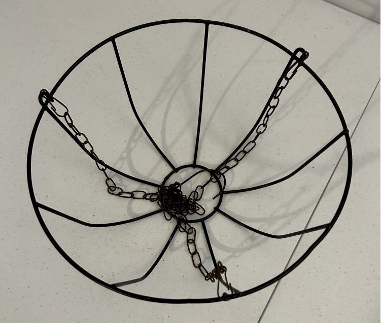 Hanging Wire Plant Basket 10"