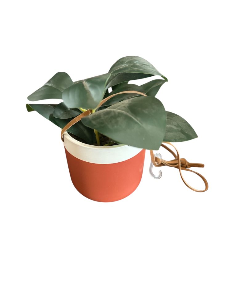 Fake Plant in Decorative Pot 4.5x4"