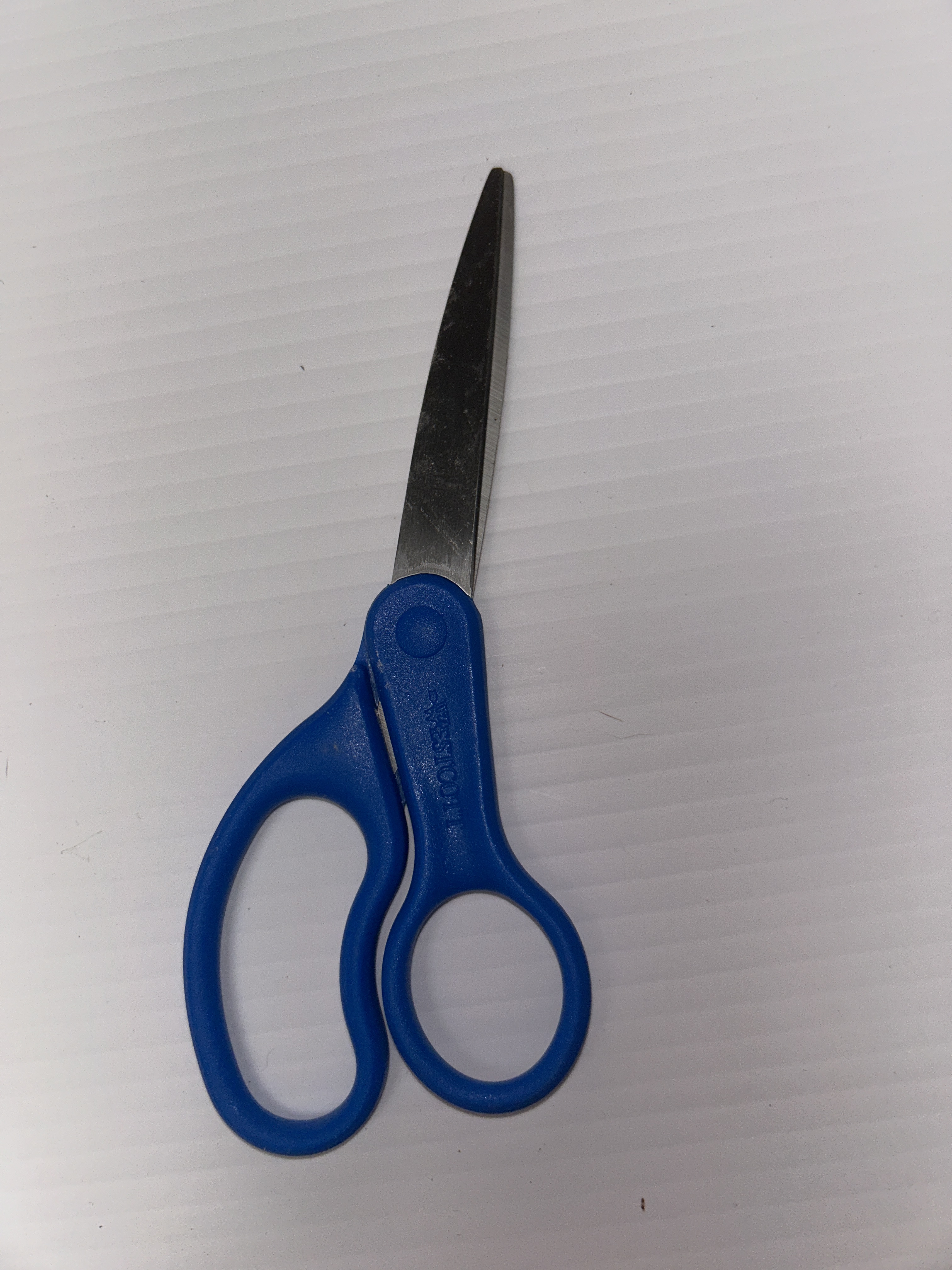 Fiskars Blue-handled Scissors