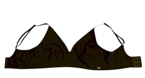 Danskin Women's Bra L