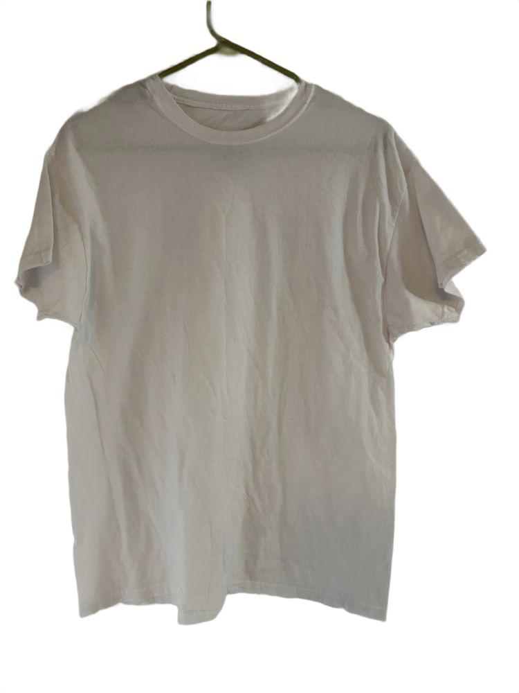 Hanes Comfort Soft Men's T-Shirt L