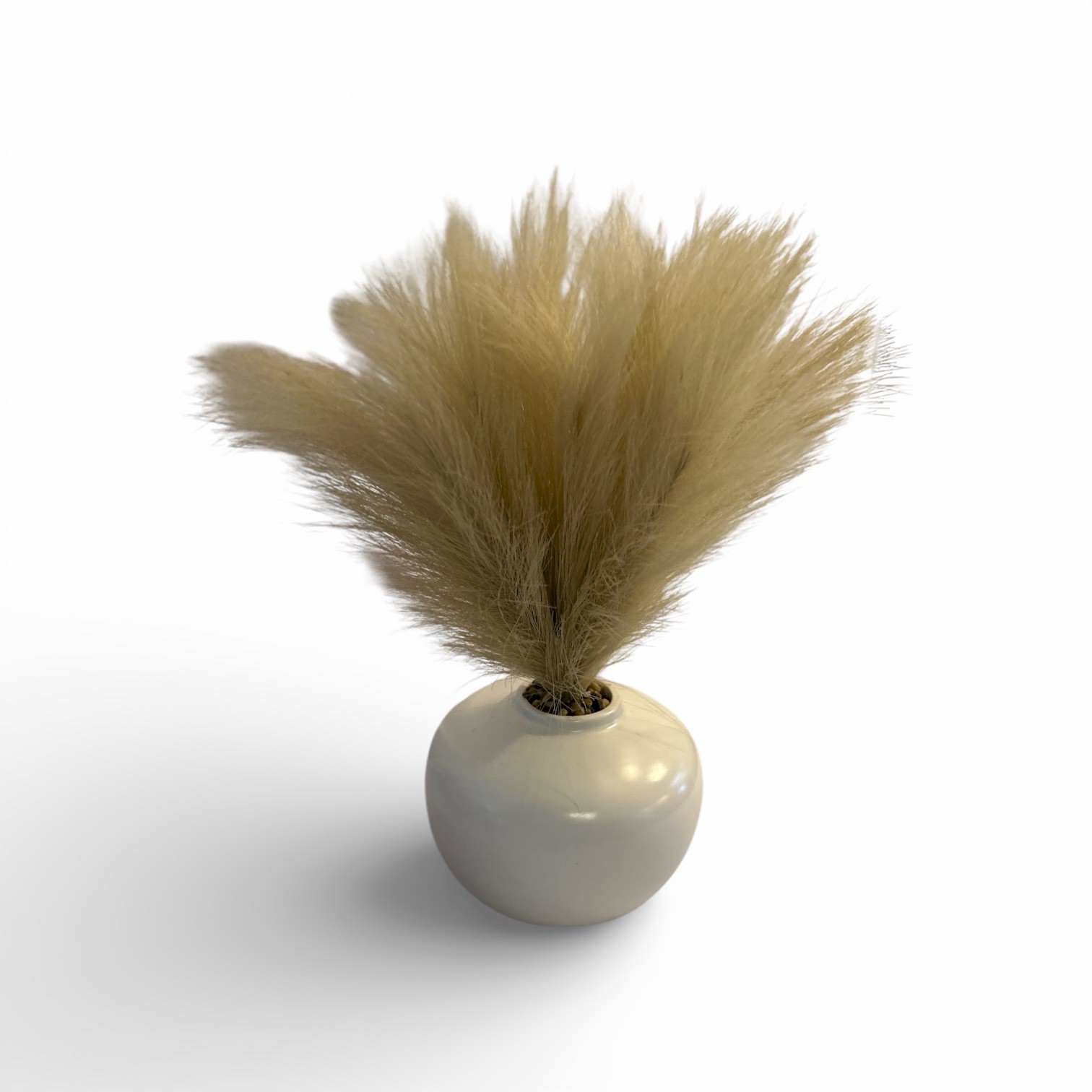 Boho Pampas Grass Arrangement Ceramic Vase Neutral Decor