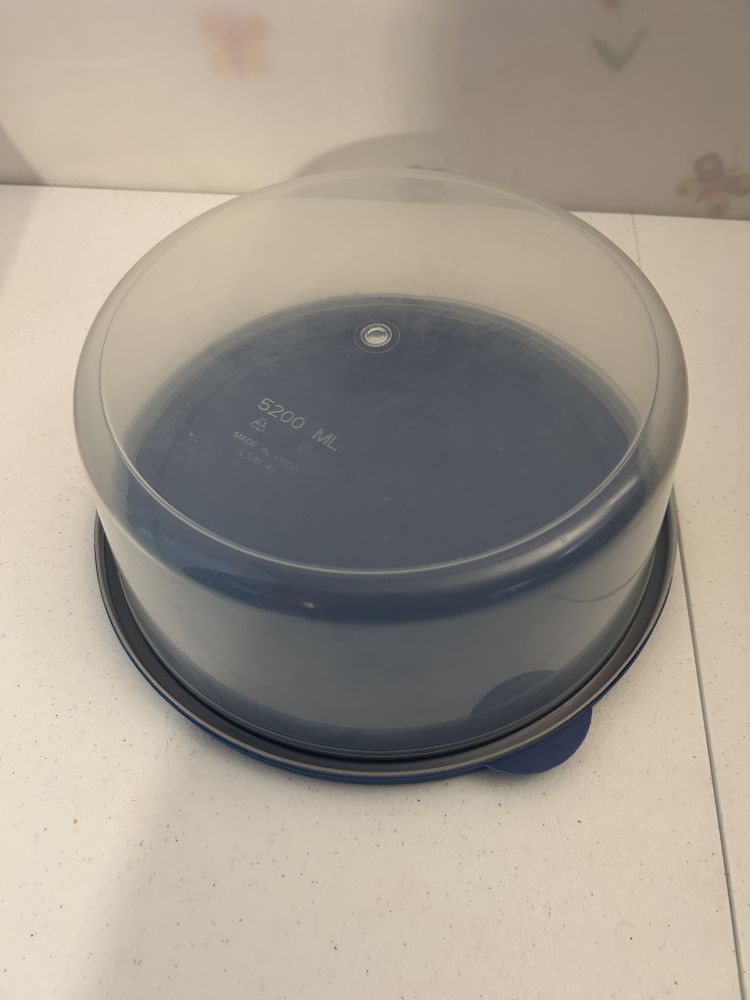 Off Brand Tupperware Cake Carrier 5x11"