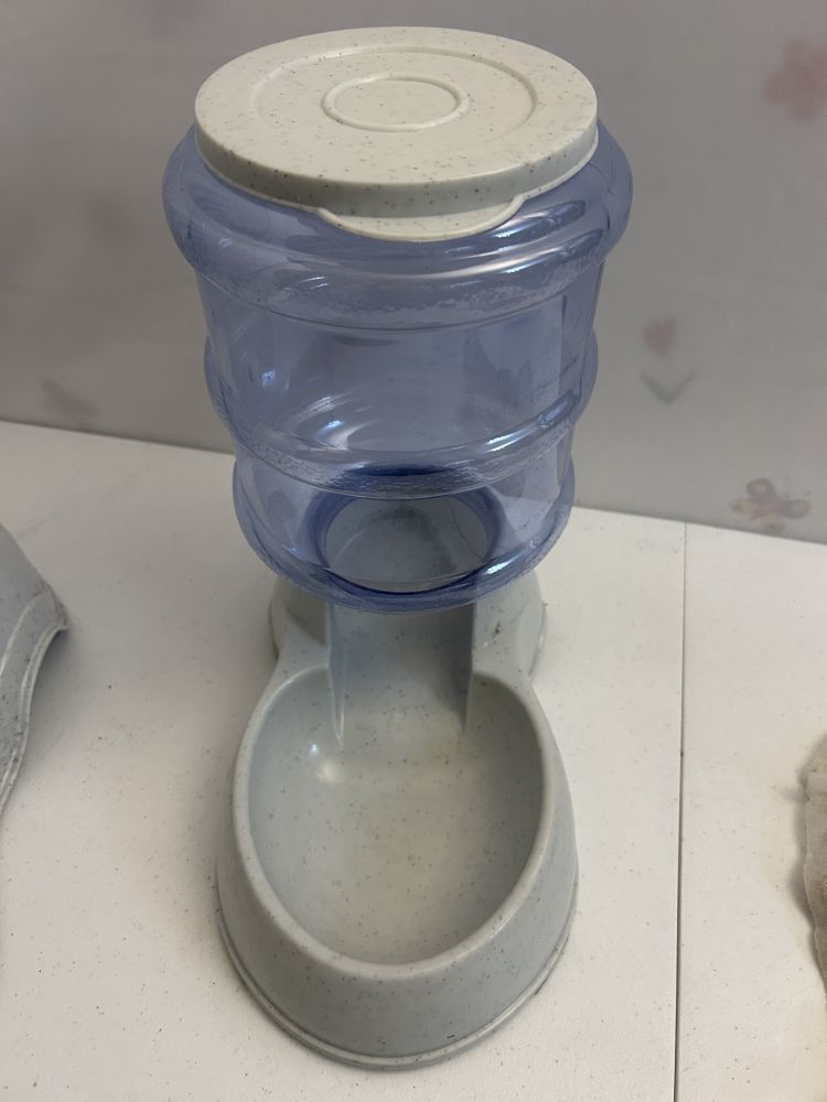Pet Feeder XL Gravity Water Dispenser