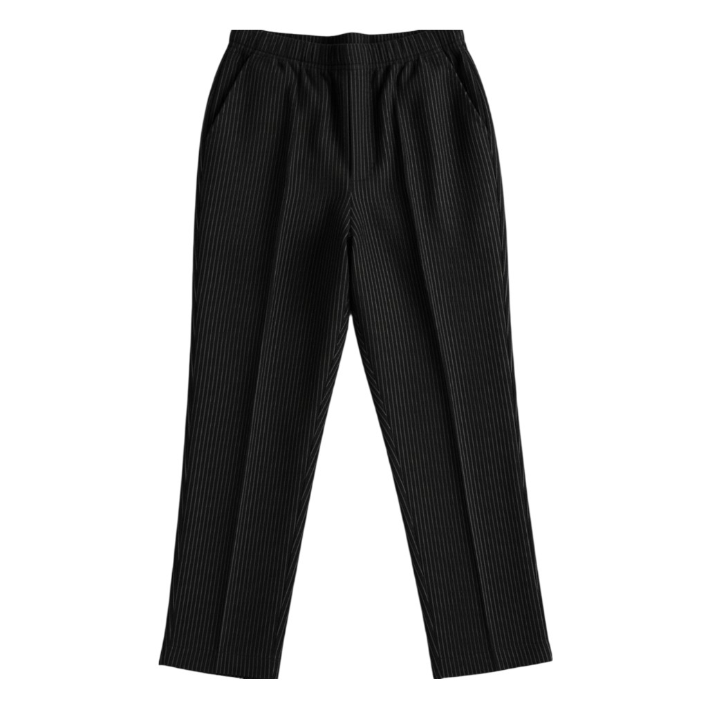 Women’s Pinstripe Dress Pants by Briggs New York Classic Pull On Career Style