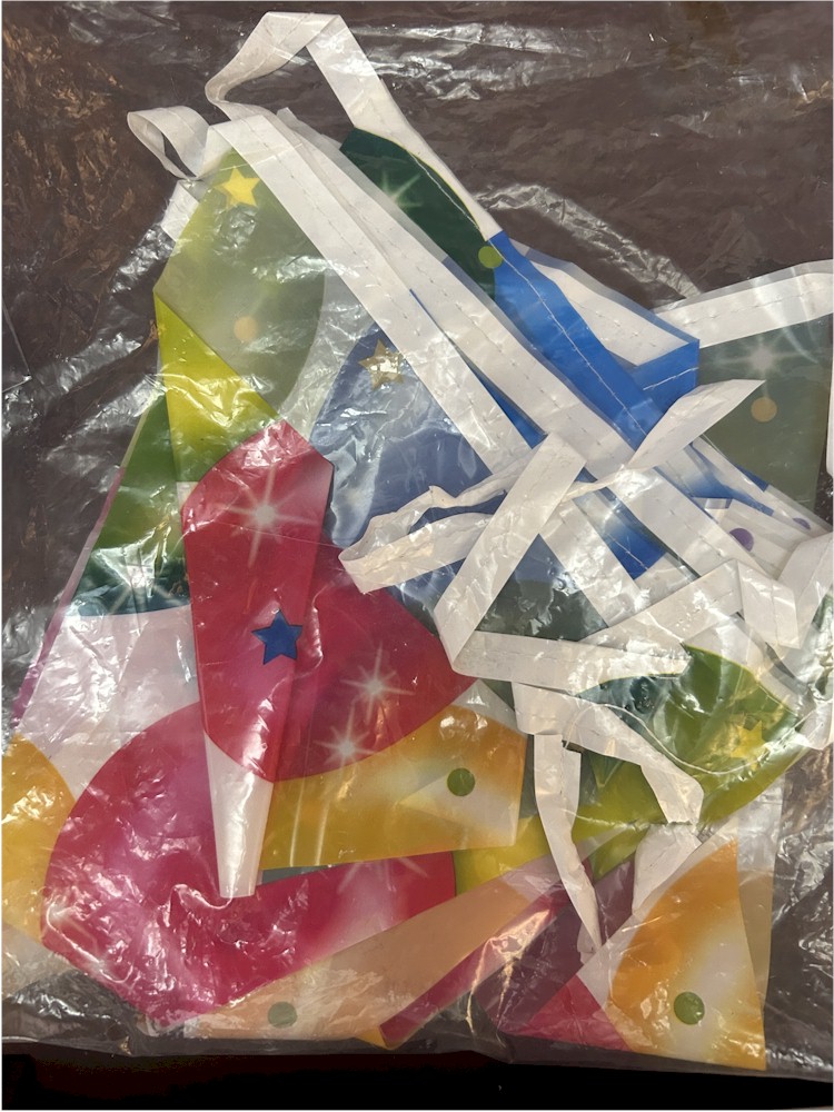 Birthday Party Plastic Banner