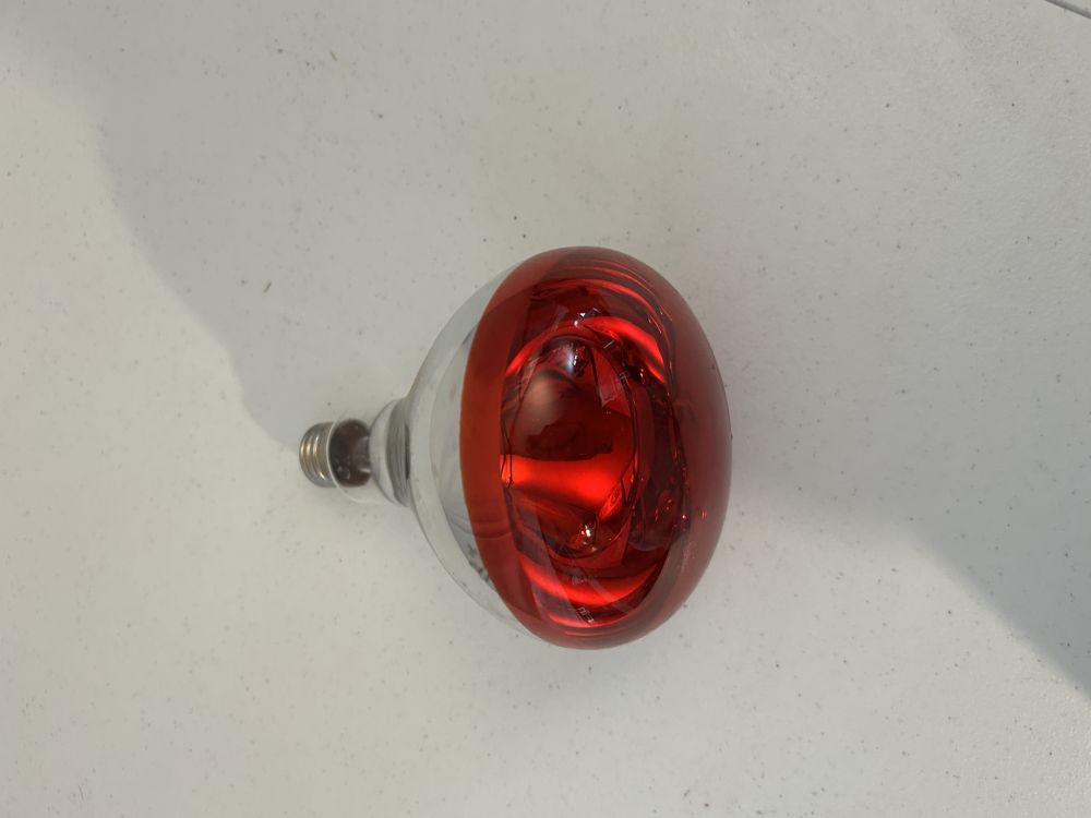 Philips Red Heat Lamp Bulb