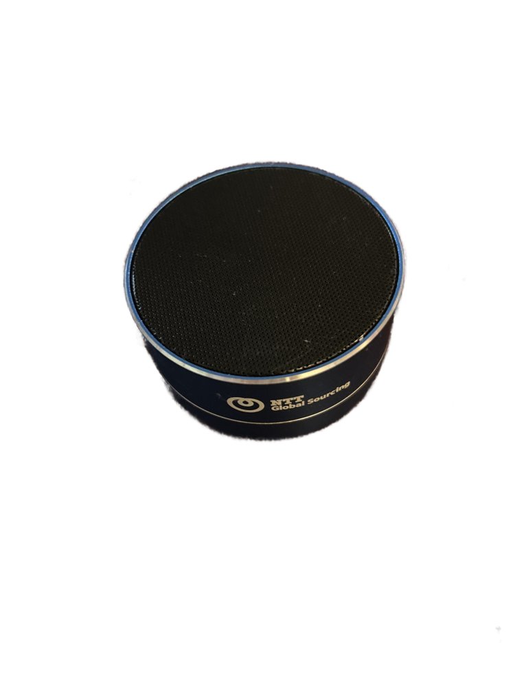 Bluetooth Device Speaker with Mic - NTT Global Sourcing